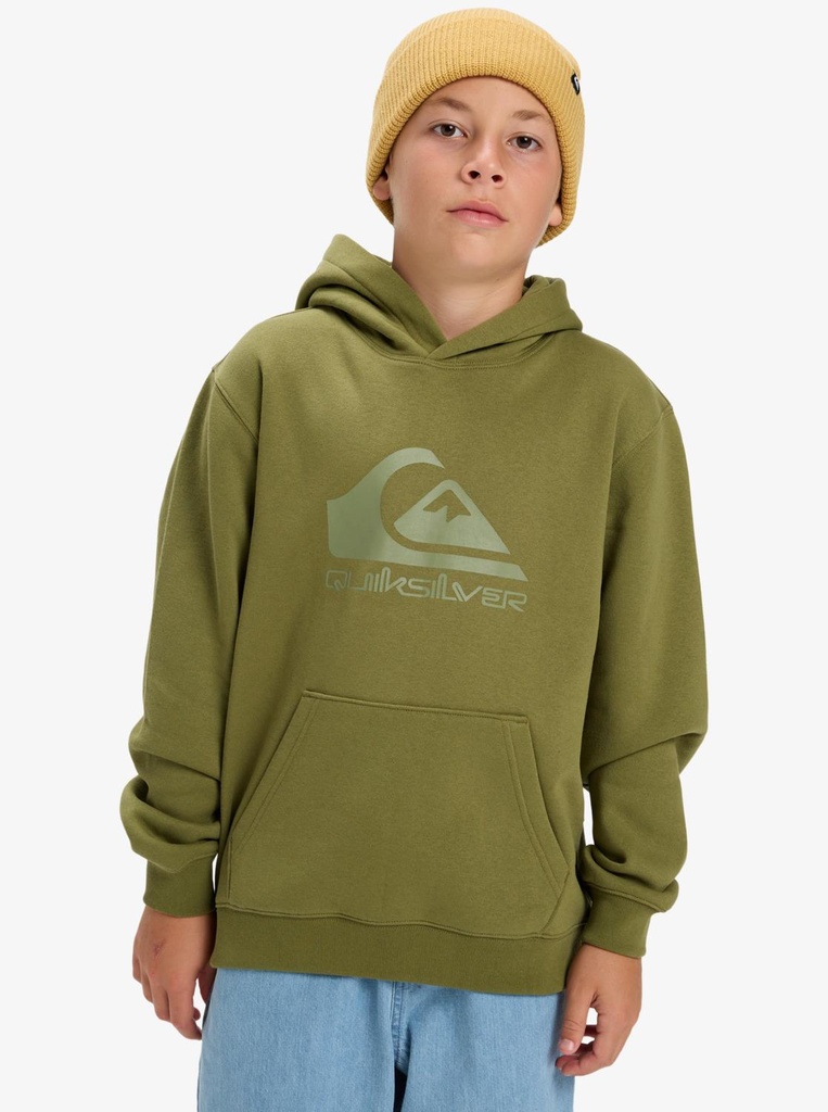 quiksilver-comp-logo-hoodie-youth-green-loden-green-xs-8-3