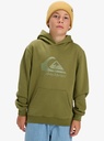quiksilver-comp-logo-hoodie-youth-green-loden-green-xs-8-3