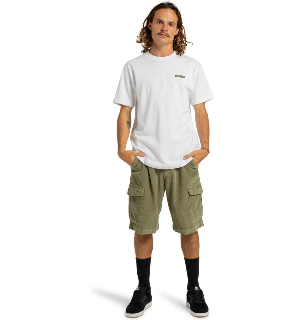 dc-shoes-pipeline-cargo-short-beige-deep-lichen-green-28-c-2