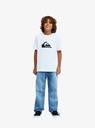 quiksilver-ev-comp-logo-ss-youth-white-xs-8-4