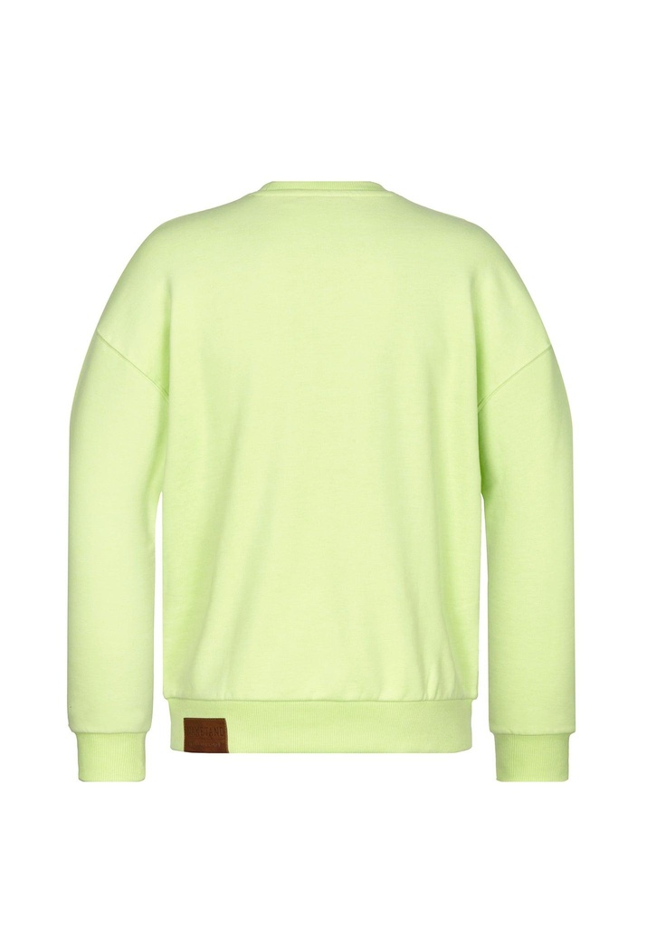 naketano-big-rainerius-20-oversize-matcha-green-melange-m-4-0