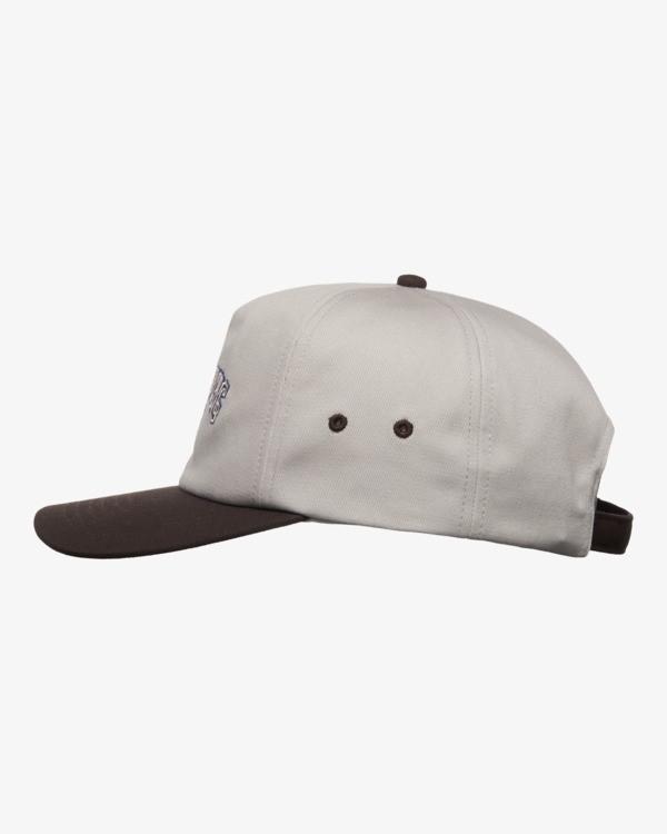billabong-throwback-strapback-grey-silver-1sz-2