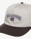 billabong-throwback-strapback-grey-silver-1sz-4