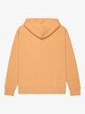quiksilver-salt-water-zip-hoodie-brown-khaki-s-d-4