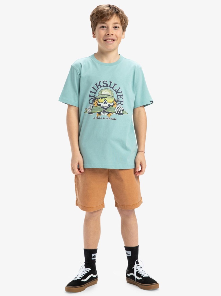 quiksilver-ev-skull-feast-ss-yth-blue-aquifer-xl-16-2