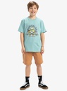quiksilver-ev-skull-feast-ss-yth-blue-aquifer-xl-16-2