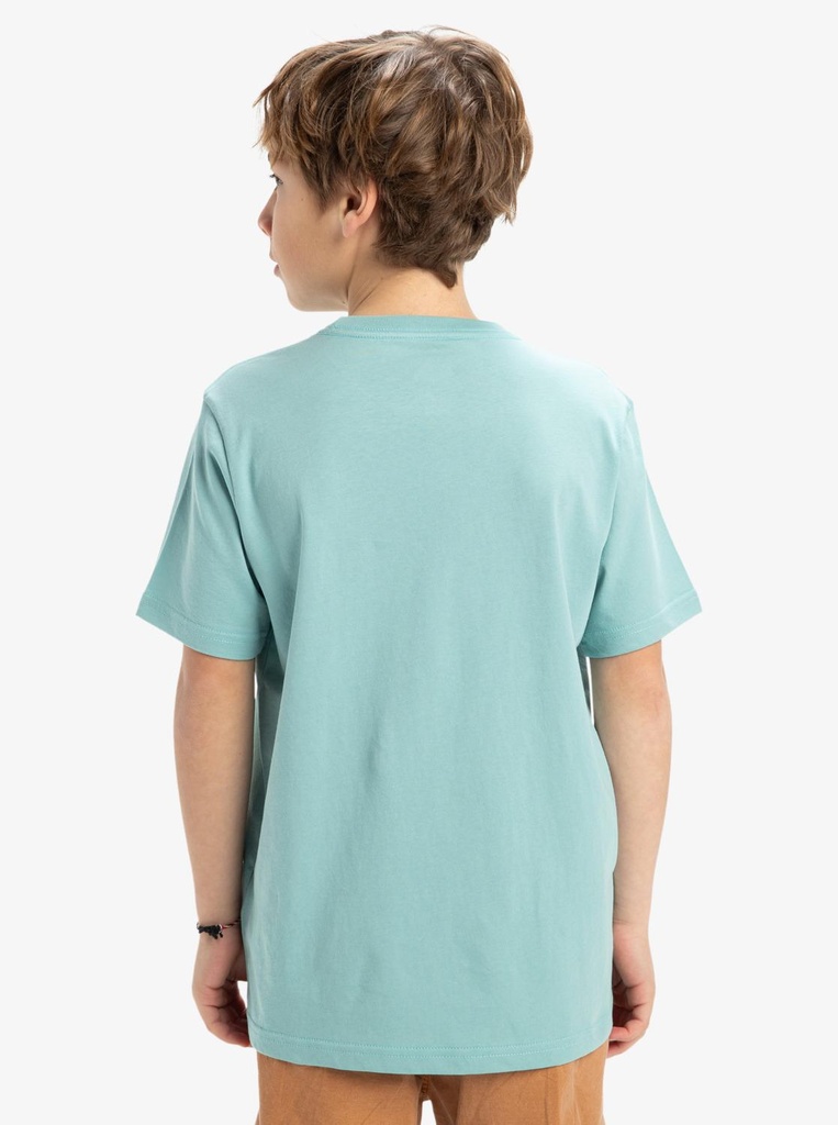 quiksilver-ev-skull-feast-ss-yth-blue-aquifer-xl-16-3