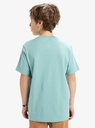 quiksilver-ev-skull-feast-ss-yth-blue-aquifer-xl-16-3