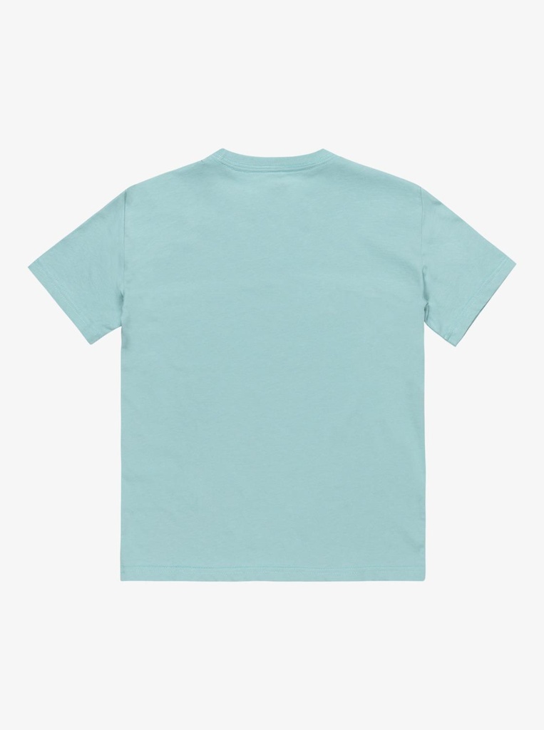 quiksilver-ev-skull-feast-ss-yth-blue-aquifer-xl-16-5