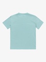 quiksilver-ev-skull-feast-ss-yth-blue-aquifer-xl-16-5
