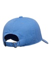 element-lowcase-dad-cap-blue-riviera-1sz-2