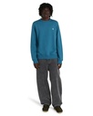 element-icon-embroidery-cr-blue-mallard-blue-xs-62c-4