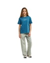 element-lowcase-bp-ss-y-blue-mallard-blue-s-10-2