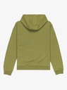 quiksilver-graphic-hoodie-youth-green-loden-green-xs-8-4