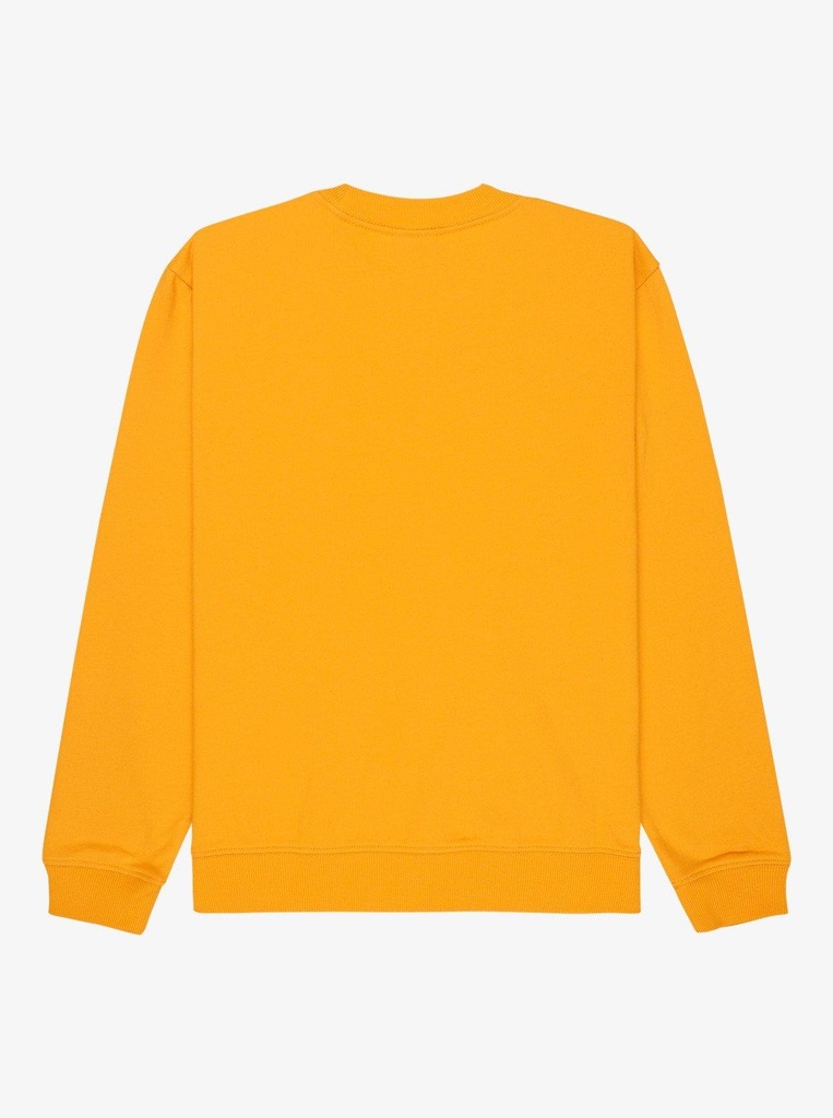 quiksilver-basic-crew-youth-yellow-mineral-yellow-s-10-0