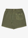 quiksilver-everyday-surfwash-volley-15-brown-grape-leaf-xs-14-6