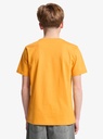 quiksilver-fineline-ss-yellow-mineral-yellow-l-14-5