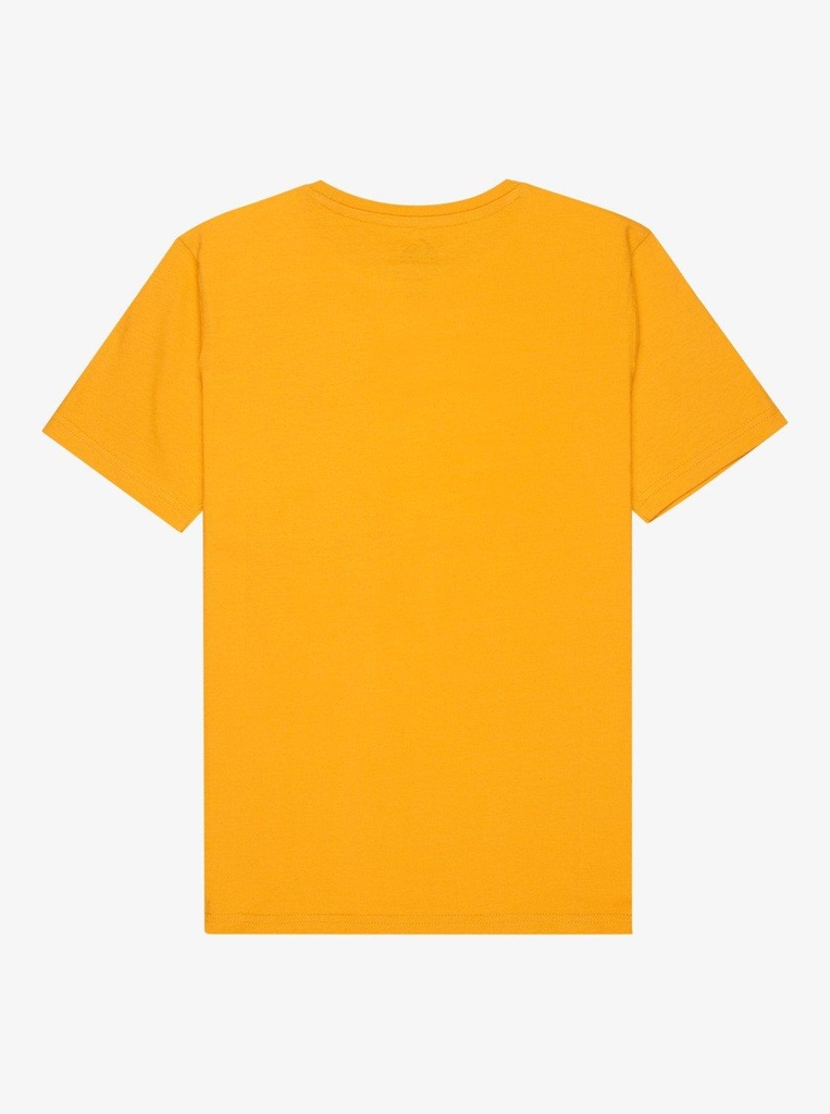 quiksilver-fineline-ss-yellow-mineral-yellow-l-14-2