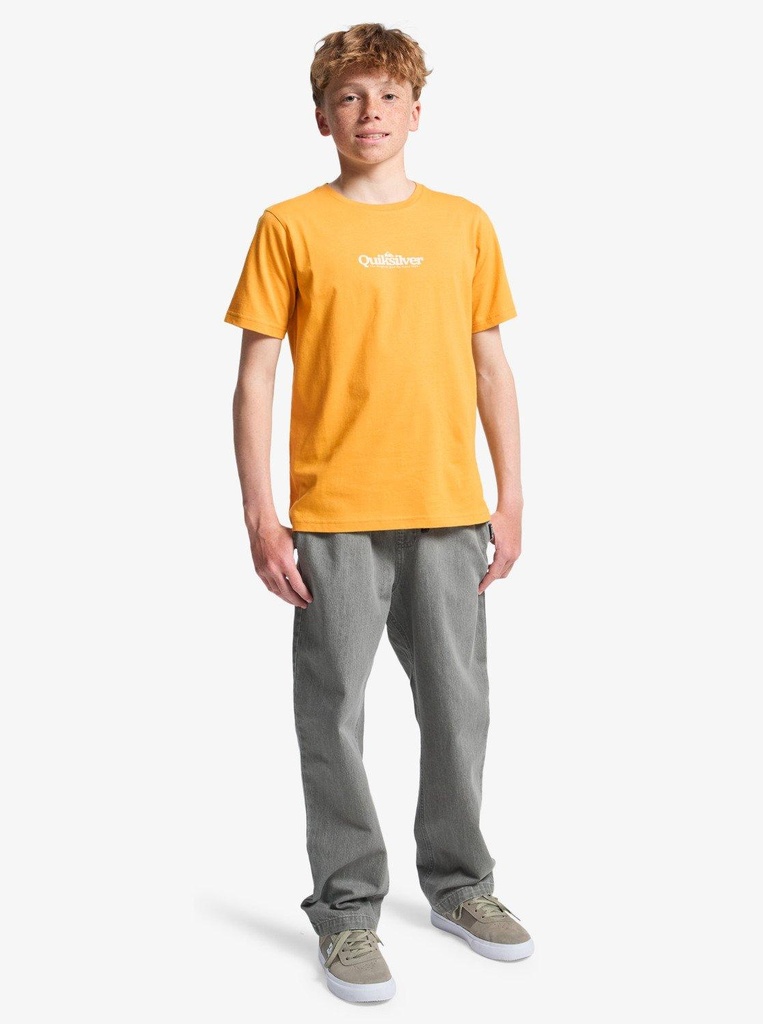 quiksilver-fineline-ss-yellow-mineral-yellow-xl-16-2