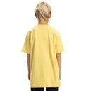 dc-shoes-tire-fire-ss-boy-yellow-dusky-citron-14-l-4