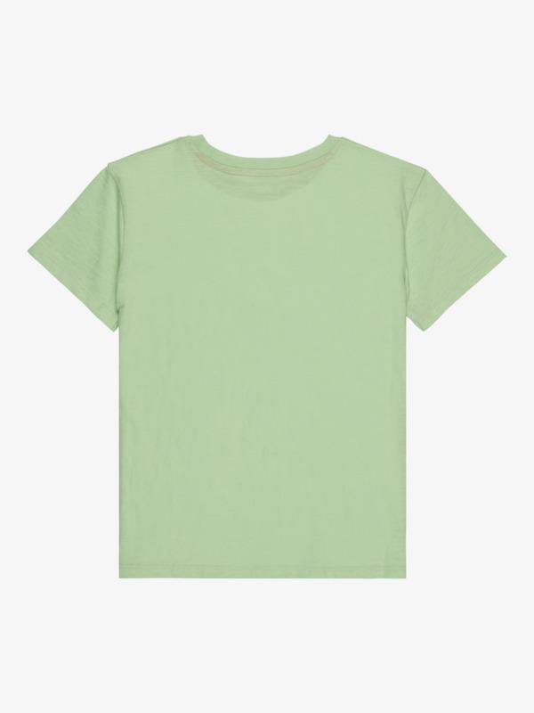 roxy-orchidregular-art-green-pistachio-green-10-m-0