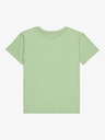 roxy-orchidregular-art-green-pistachio-green-10-m-0