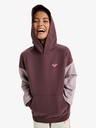 roxy-essential-energy-hoodie-red-huckleberry-xs-3