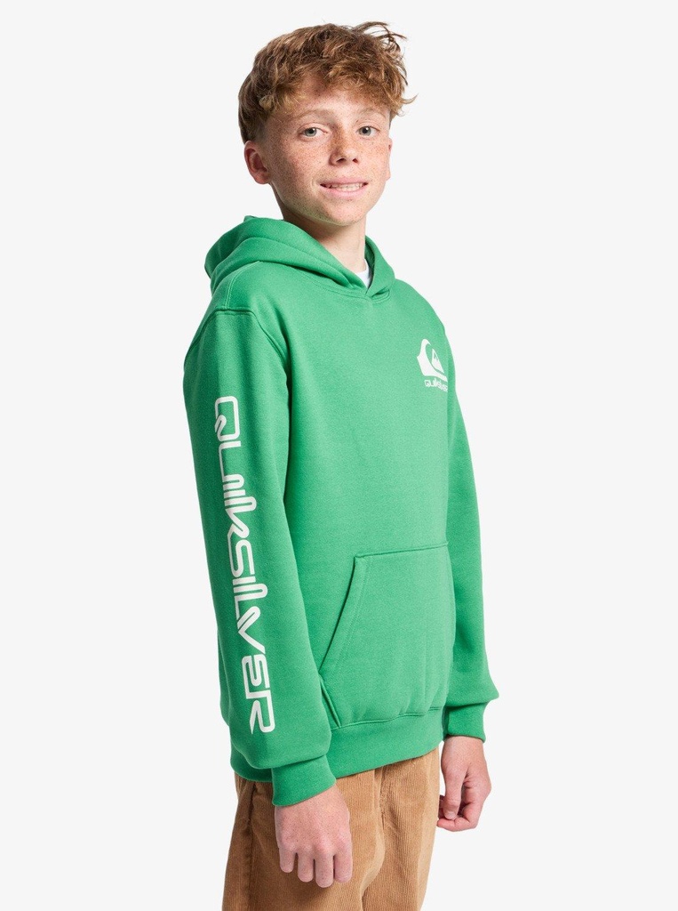 quiksilver-omni-logo-hoodie-youth-green-leprechaun-s-10-68-0