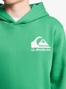 quiksilver-omni-logo-hoodie-youth-green-leprechaun-s-10-68-1