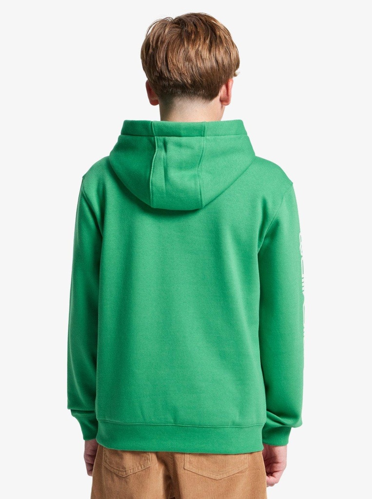 quiksilver-omni-logo-hoodie-youth-green-leprechaun-s-10-68-3
