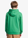 quiksilver-omni-logo-hoodie-youth-green-leprechaun-s-10-68-3