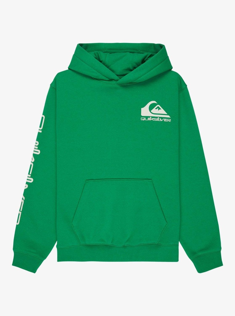 quiksilver-omni-logo-hoodie-youth-green-leprechaun-s-10-68-4