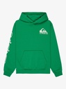 quiksilver-omni-logo-hoodie-youth-green-leprechaun-s-10-68-4