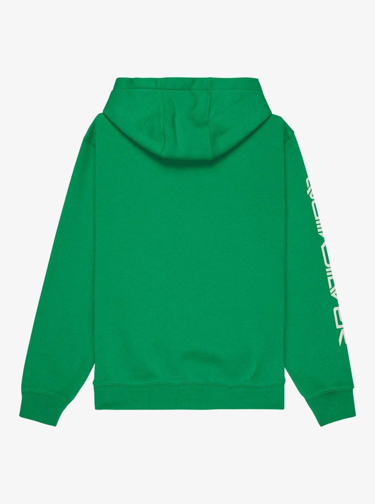 quiksilver-omni-logo-hoodie-youth-green-leprechaun-s-10-68-5