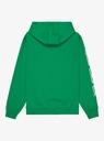 quiksilver-omni-logo-hoodie-youth-green-leprechaun-s-10-68-5
