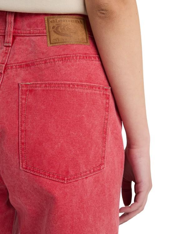 element-365-canvas-w-red-cardinal-31-2