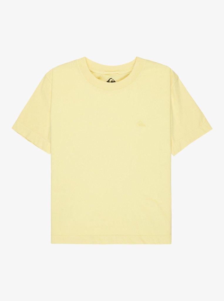 quiksilver-essential-ss-tee-green-garden-glade-m-4