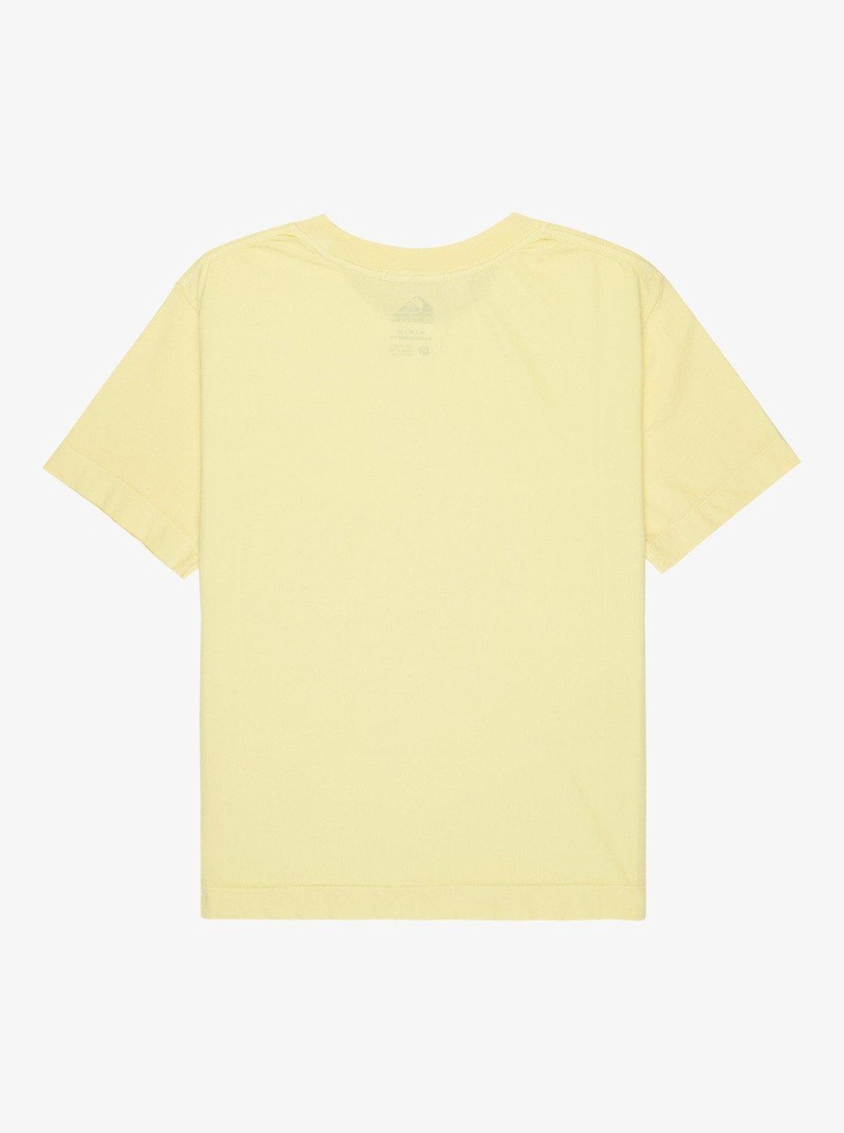 quiksilver-essential-ss-tee-green-garden-glade-m-5