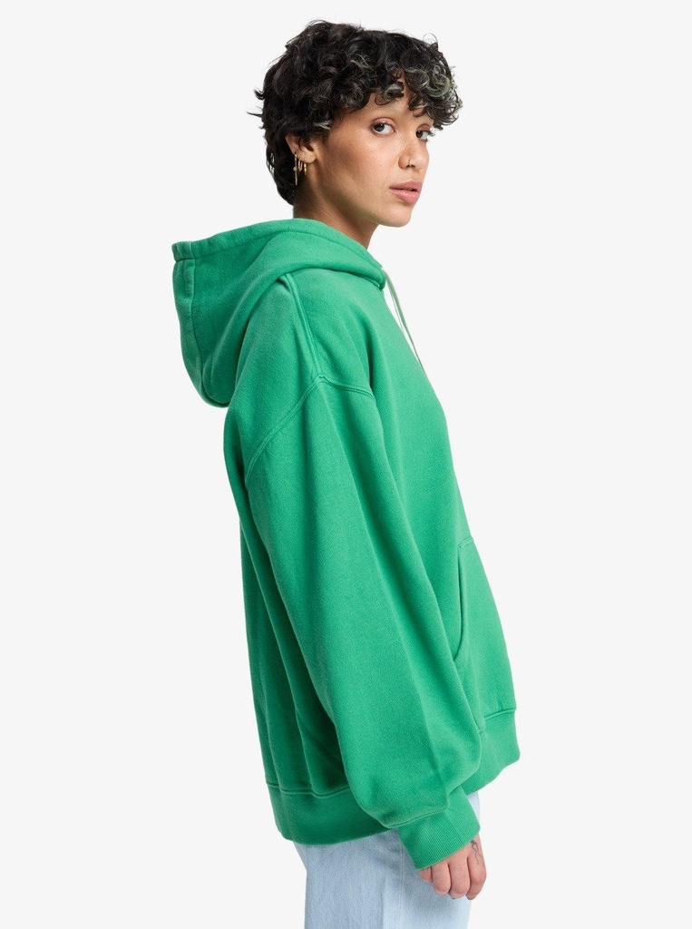 quiksilver-essential-hoodie-green-leprechaun-s-0
