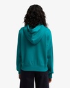 billabong-family-hoodie-green-ivy-s-8-3c-1