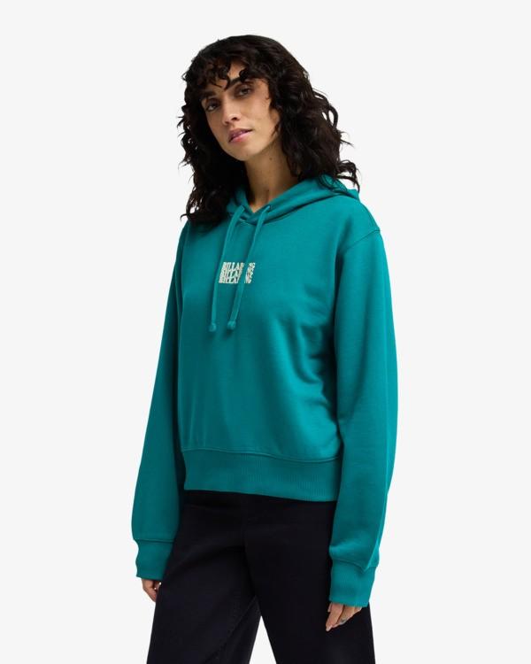 billabong-family-hoodie-green-ivy-s-8-3c-2