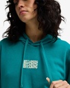 billabong-family-hoodie-green-ivy-s-8-3c-3