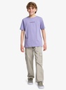 quiksilver-taxer-cargo-pant-youth-beige-seneca-rock-s-10-4