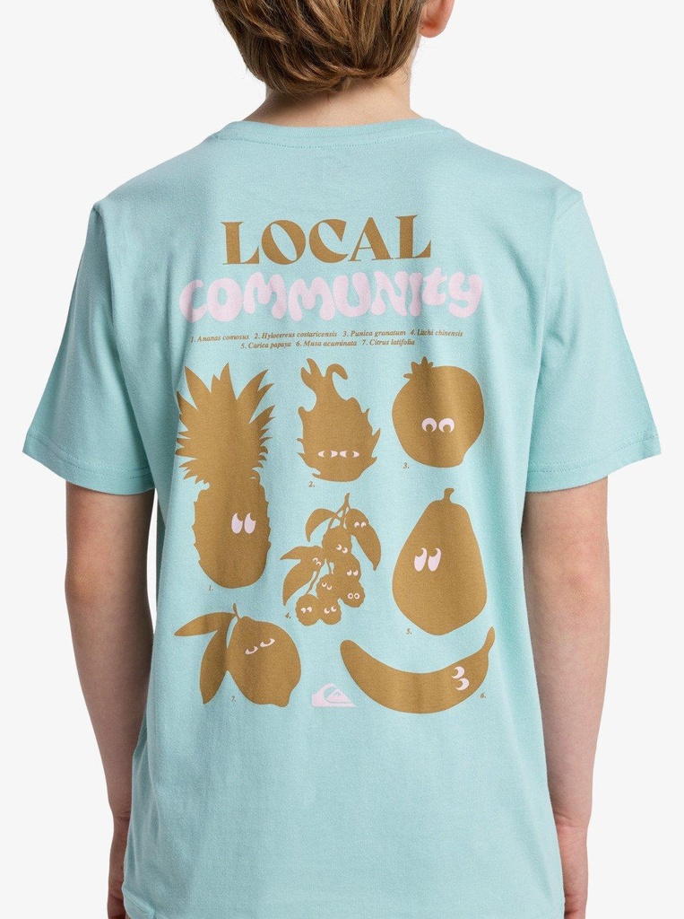 quiksilver-fruits-tide-ss-blue-blue-haze-l-14-3