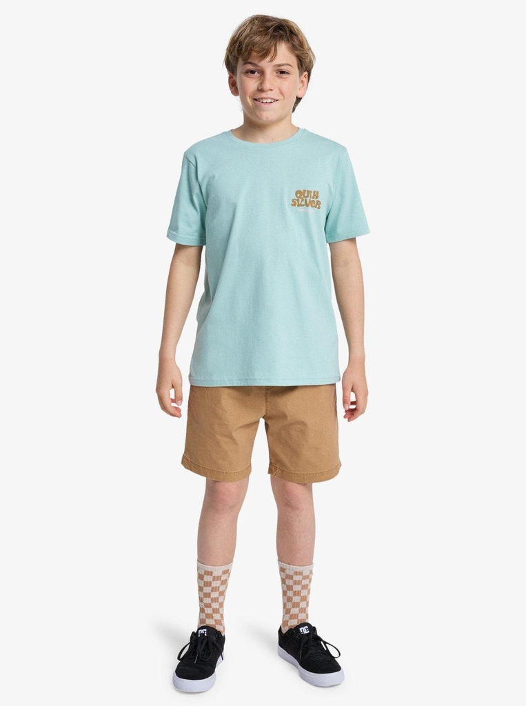 quiksilver-fruits-tide-ss-blue-blue-haze-l-14-4