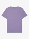 quiksilver-starfish-stamp-ss-purple-daybreak-m-12-0