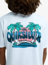 quiksilver-palm-horizon-ss-white-xs-8-1