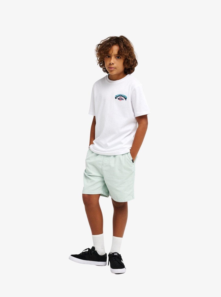 quiksilver-palm-horizon-ss-white-xs-8-2