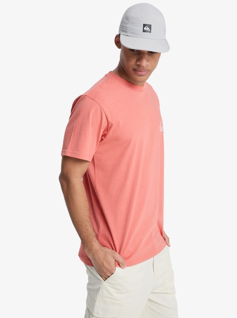 quiksilver-ev-mini-logo-ss-pink-desert-sand-l-e-ec-0