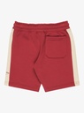 quiksilver-knowledge-aera-short-boy-red-burnt-russet-5-0